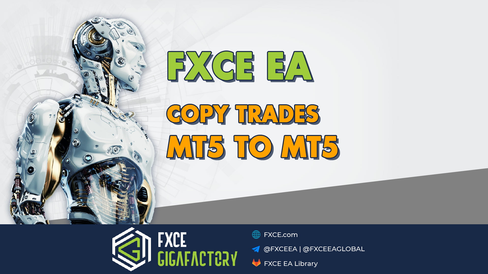 FXCE EA Copy Trades MT5 to MT5