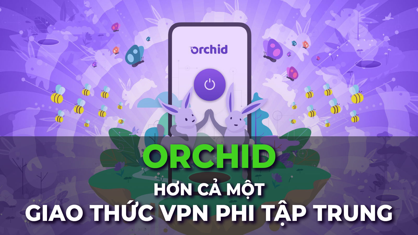 Orchid - Hơn cả một giao thức VPN phi tập trung