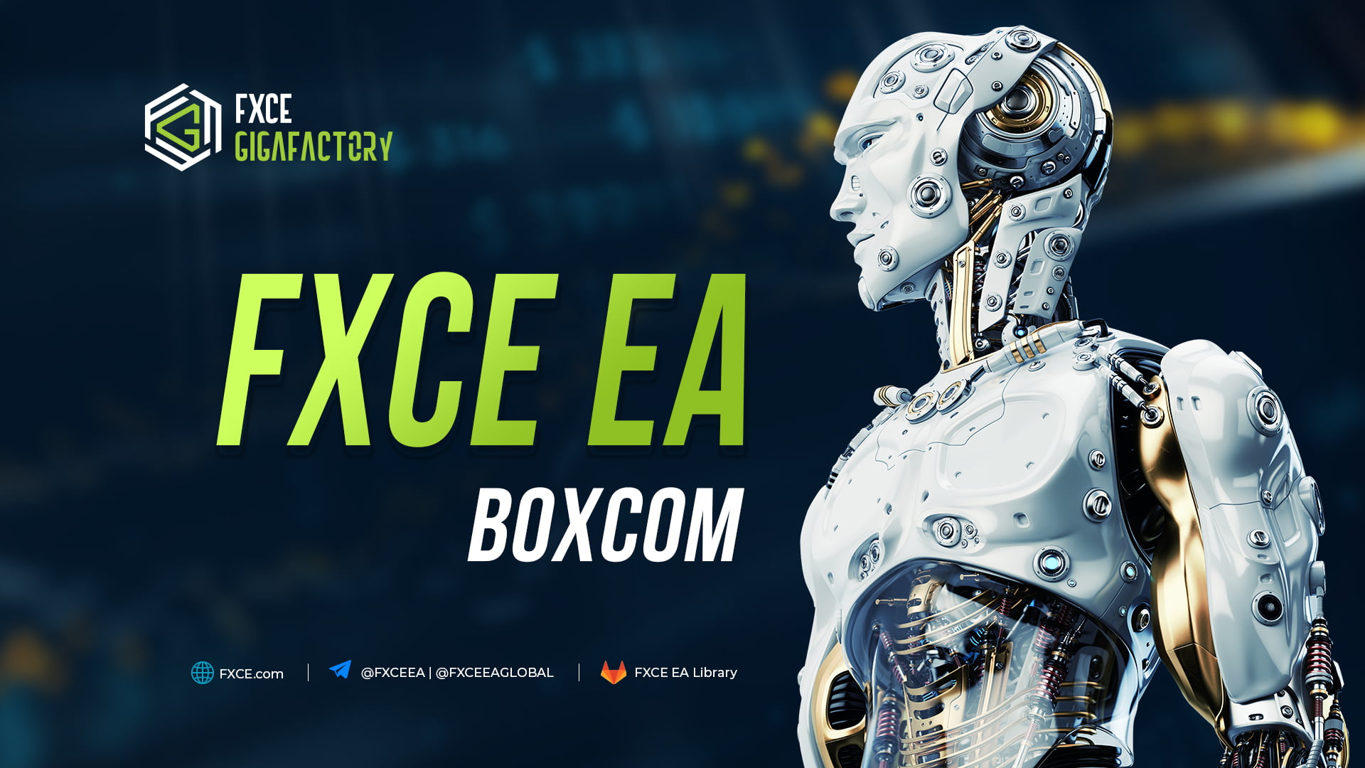 FXCE EA BOXCOM