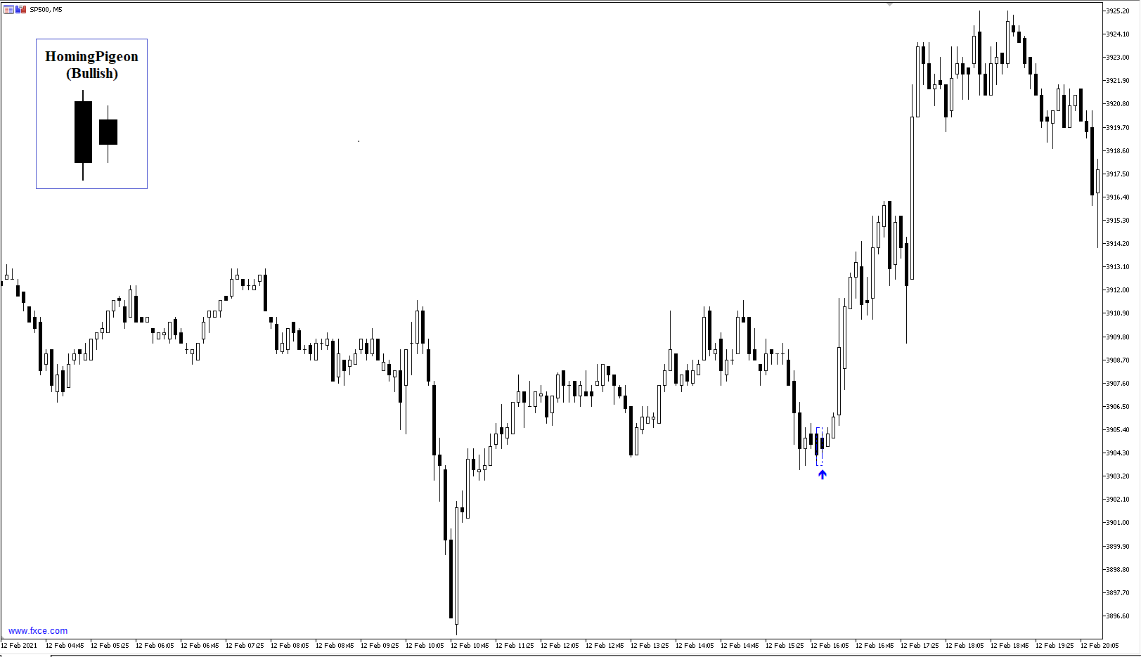 Giao diện Homing Pigeon Candle Pattern