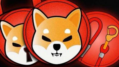 Shiba Inu tăng 183% trong 7 ngày, gần vượt mặt Dogecoin