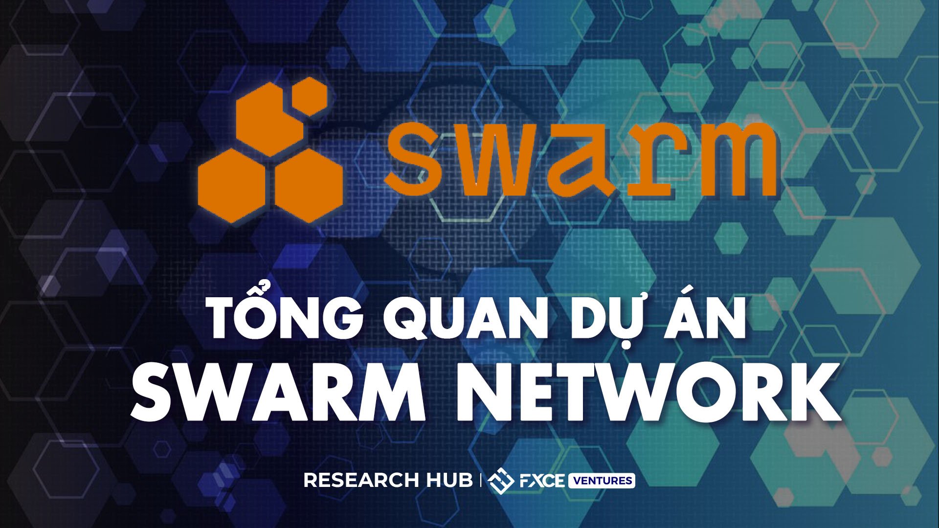 Tổng quan dự án Swarm Network