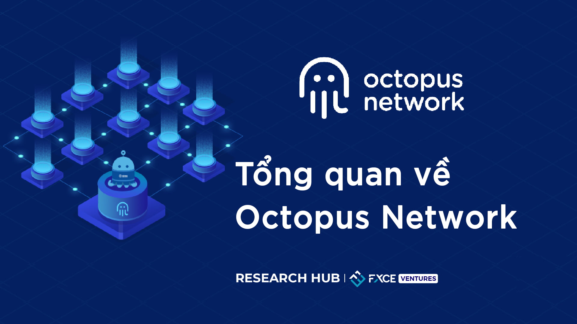 Tổng quan dự án Octopus Network