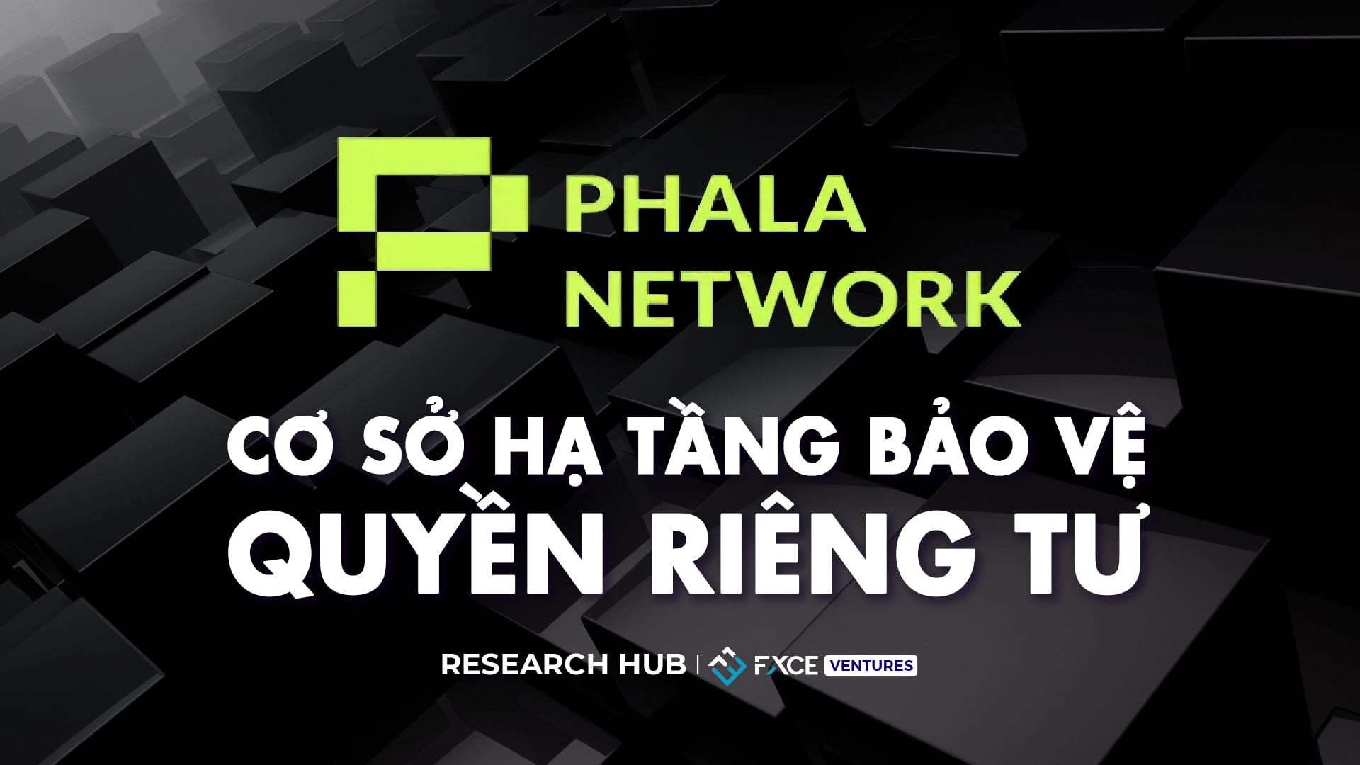 Phala Network - Cơ Sở Hạ Tầng Bảo Vệ Quyền Riêng Tư
