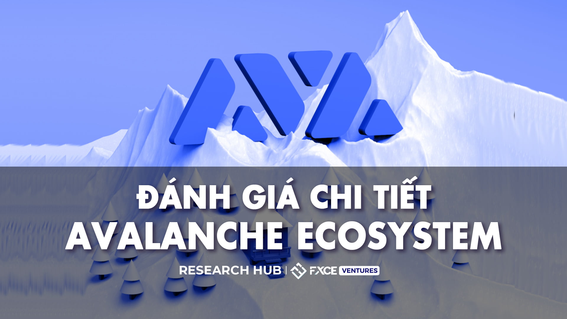 DEEP DIVE INTO THE AVALANCHE ECOSYSTEM