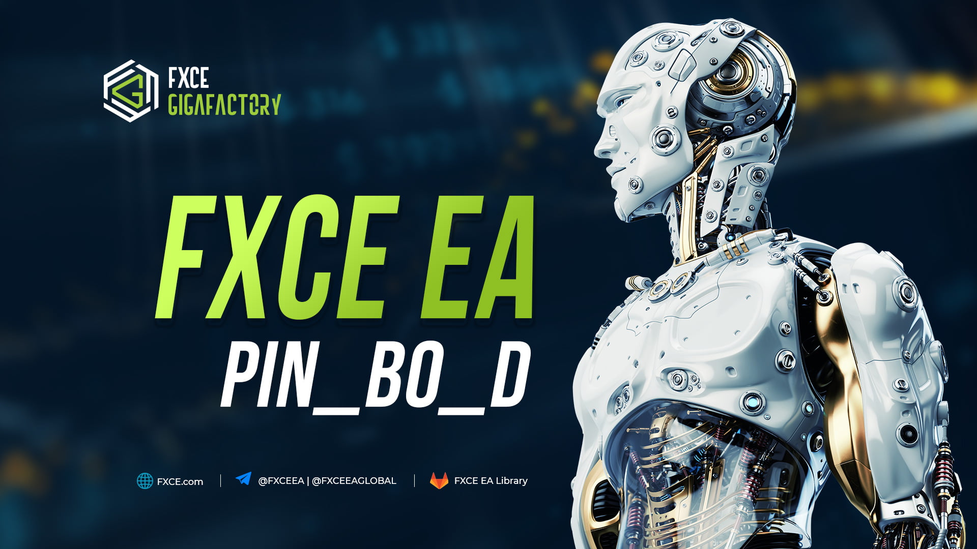 Hướng dẫn FXCE EA Pin_Bo_D