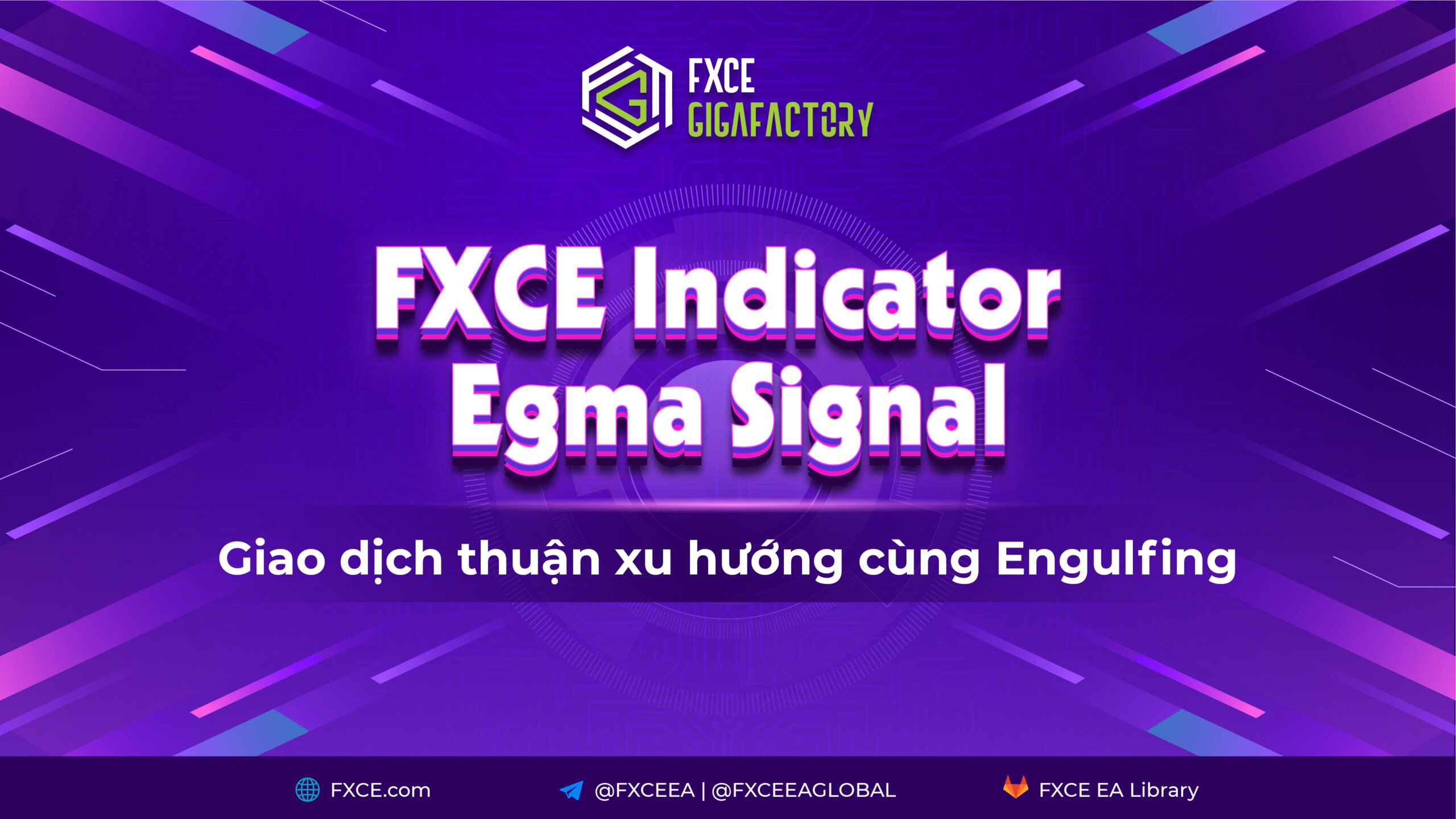 Hướng dẫn sử dụng FXCE Indicator Egma Signal