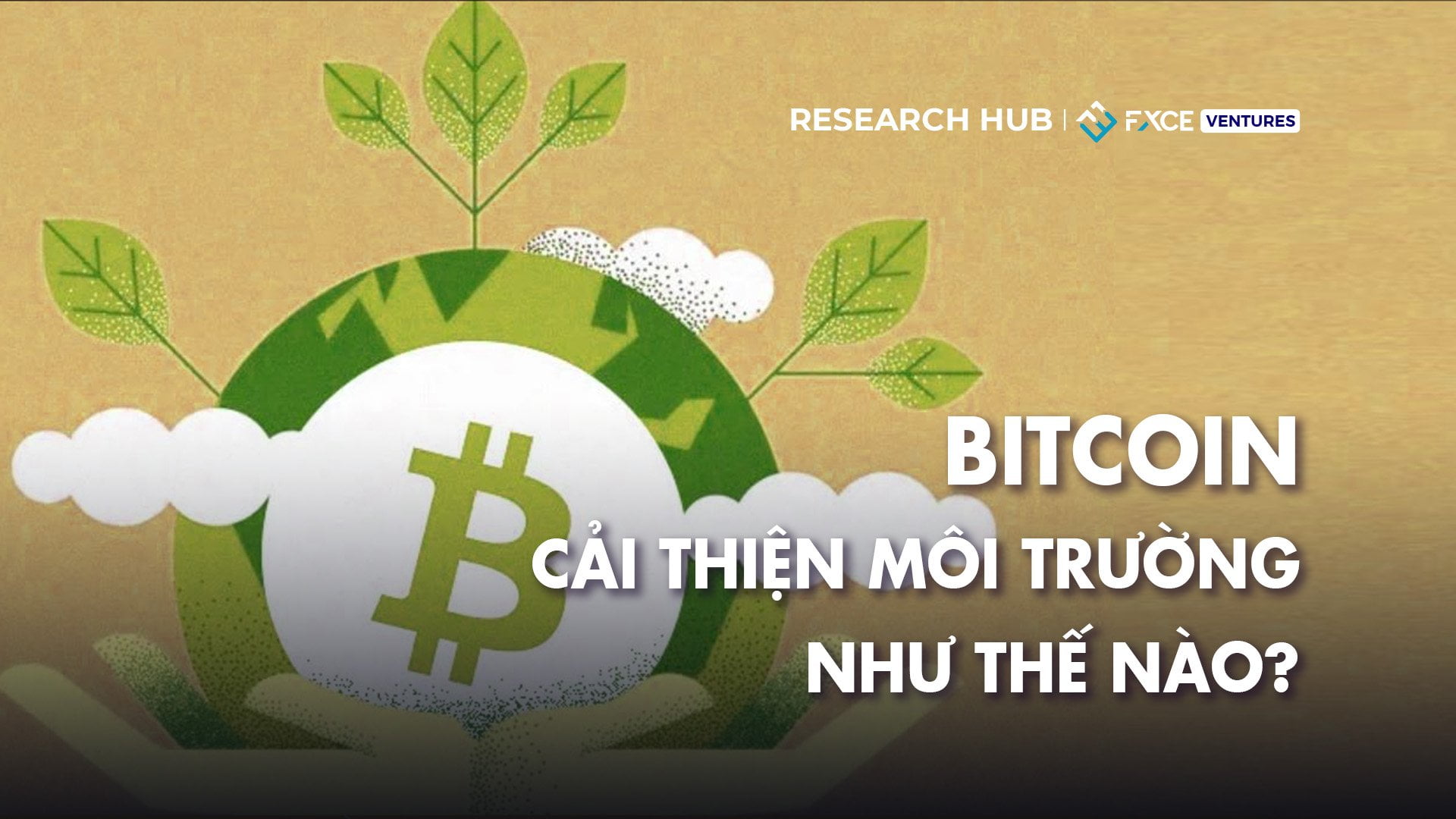 Bitcoin (BTC) đã cải thiện môi trường như thế nào?