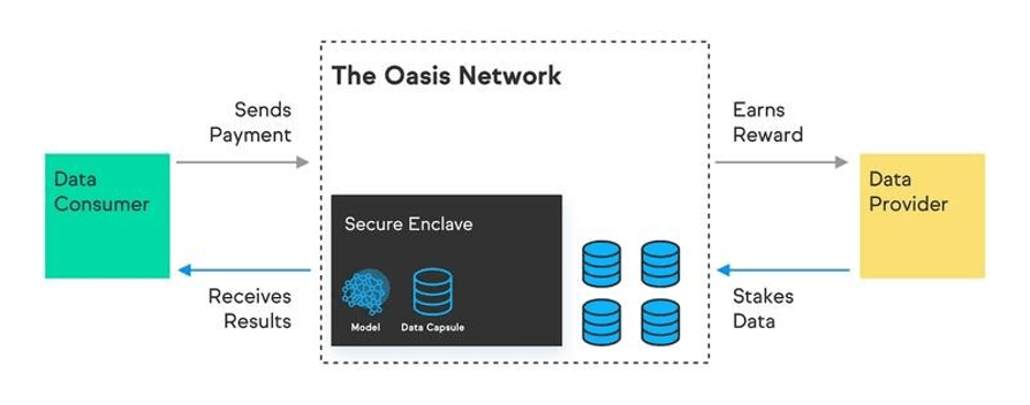 Oasis Network là gì? Nền kinh tế dữ liệu ưu tiên quyền riêng tư