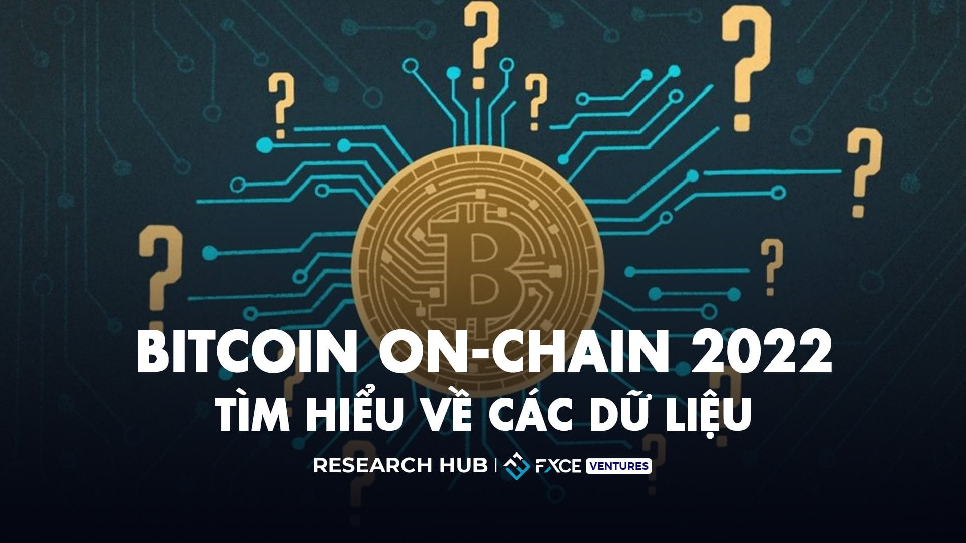  Tìm hiểu về các dữ liệu Bitcoin on-chain 2022