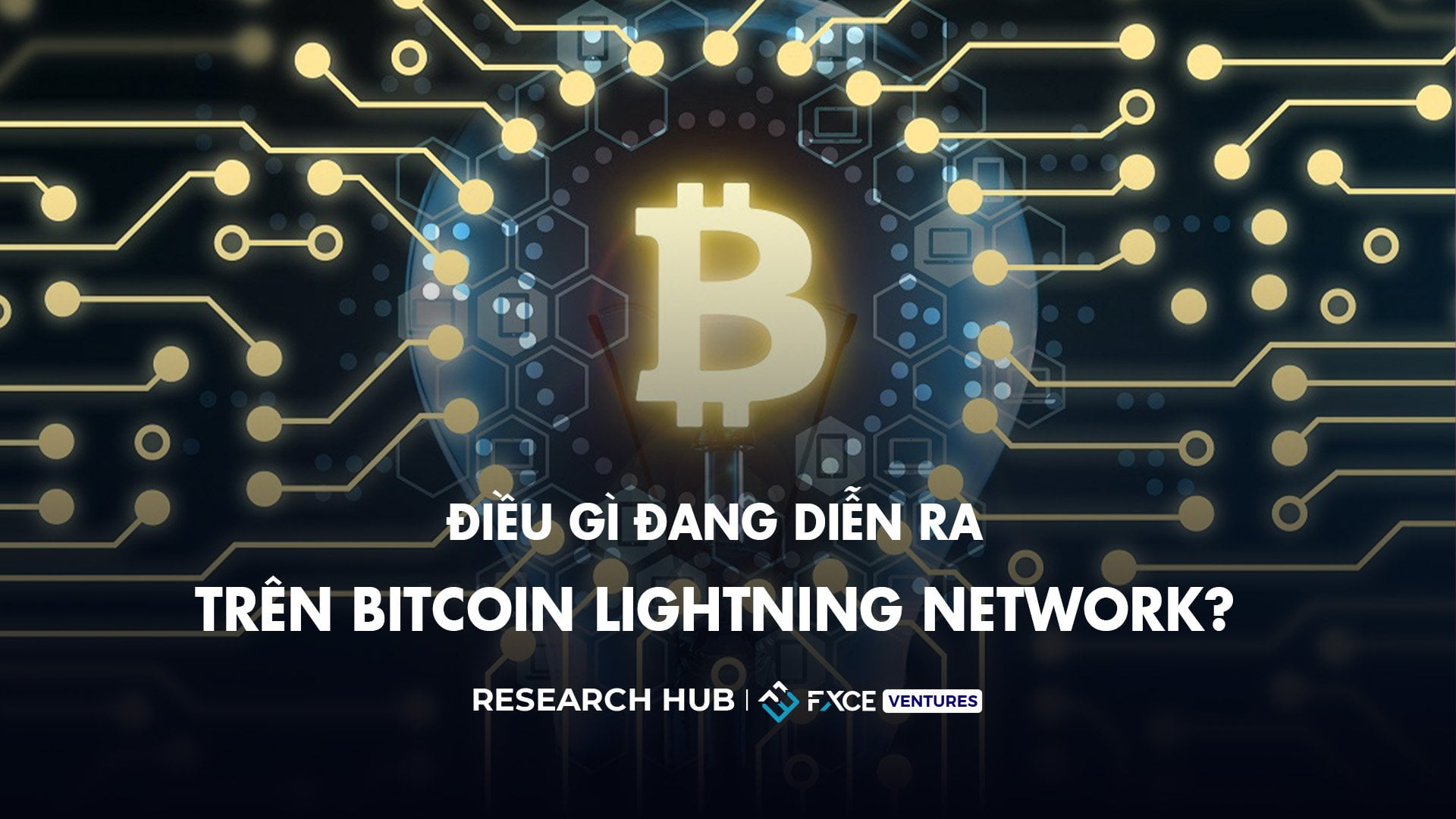 Điều gì đang diễn ra trên Bitcoin Lightning Network?