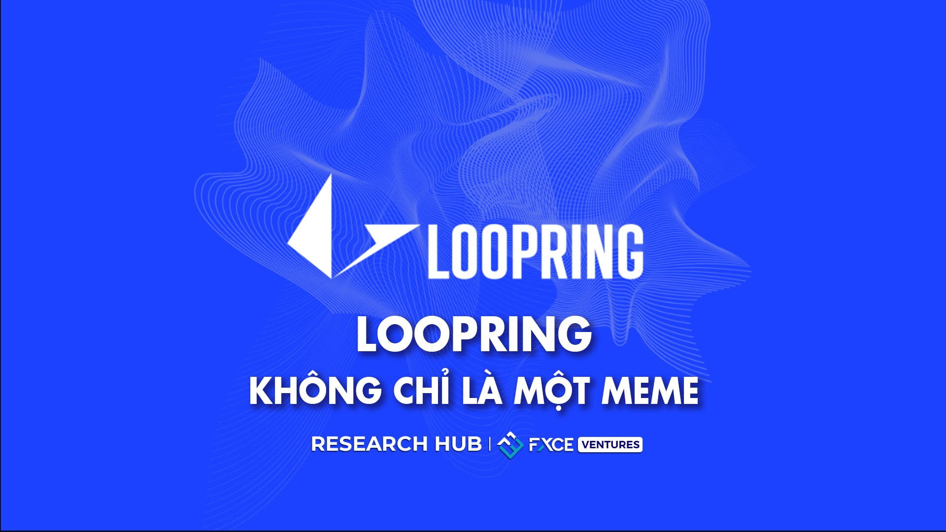 Đánh giá Loopring 2022: Không chỉ là một Meme