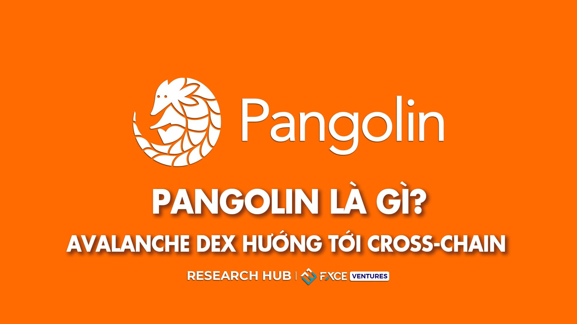 Pangolin là gì? Avalanche DEX hướng tới Cross-Chain